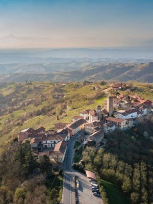 Alla Ricerca del Merluzzo