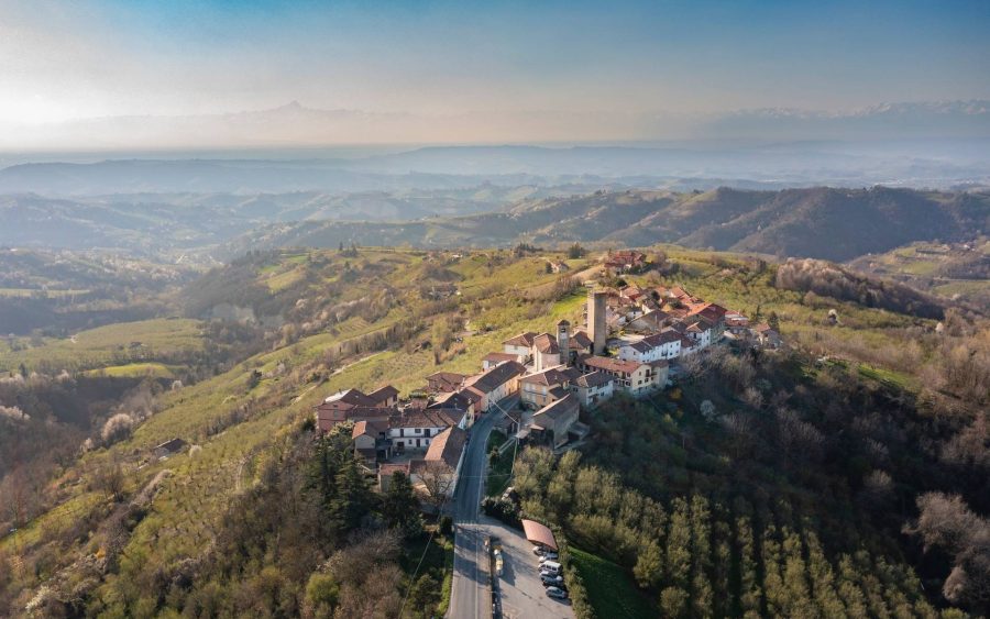 Alla Ricerca del Merluzzo