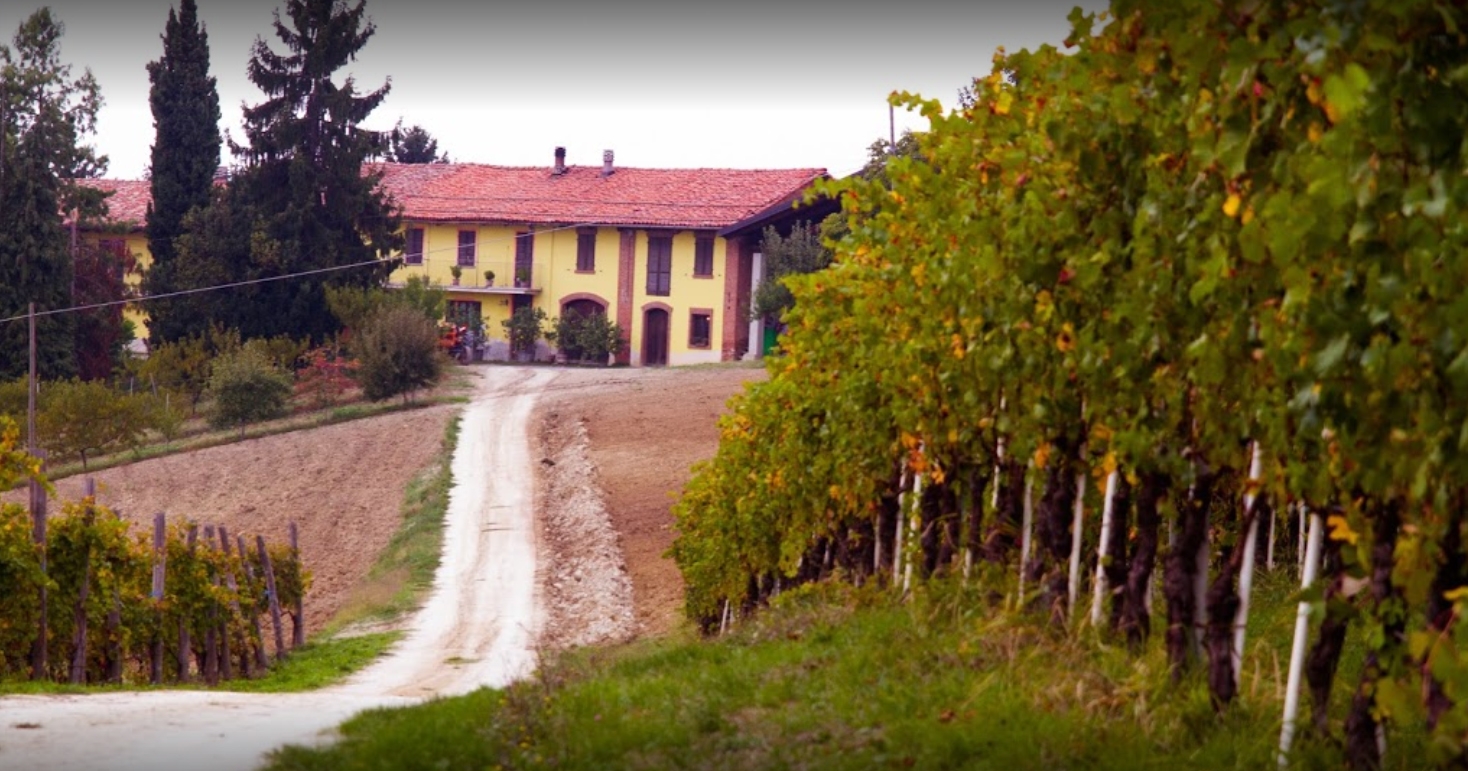 Valdibà - Azienda Agricola a Dogliani