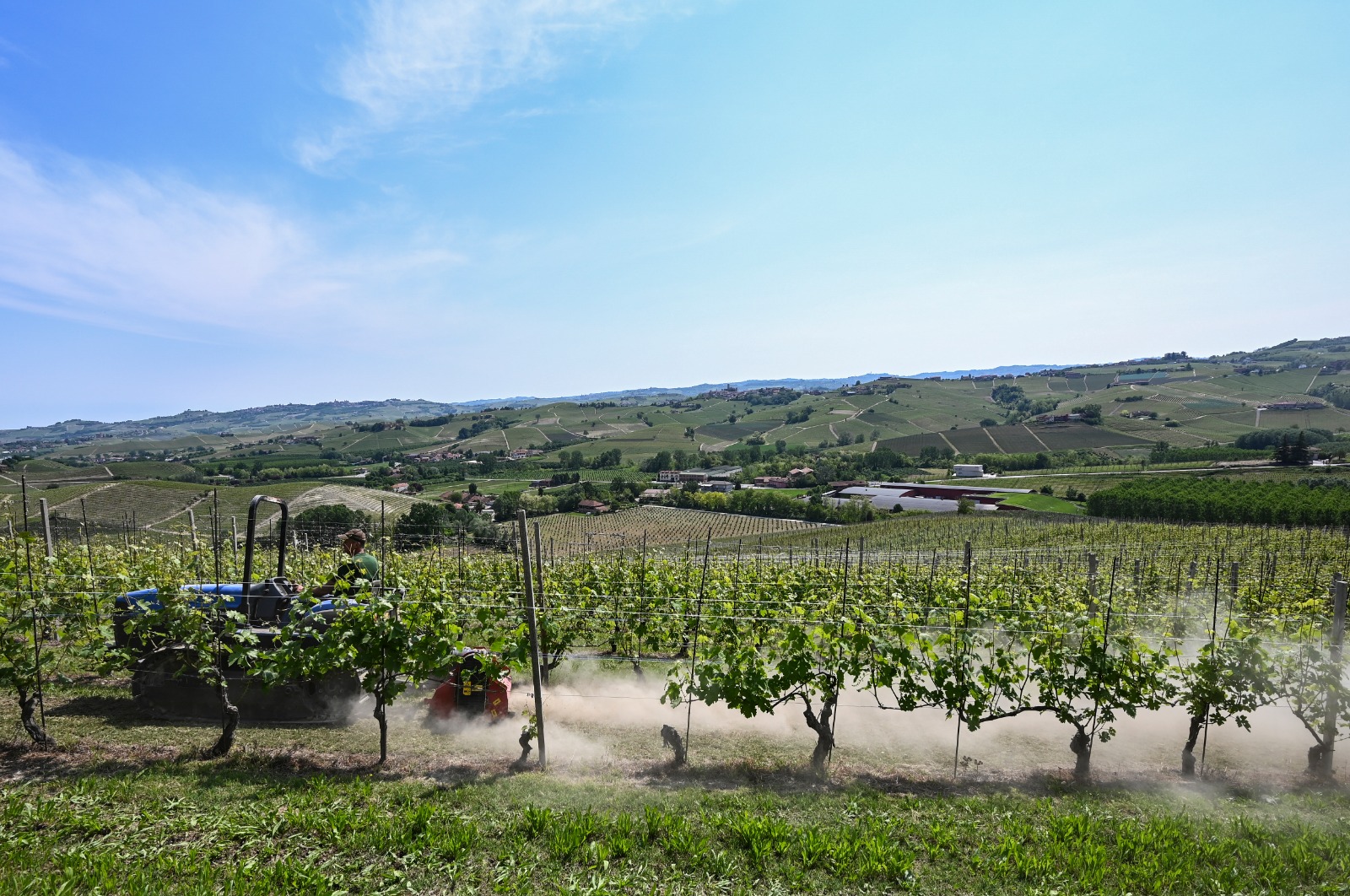I vigneti Francesco Borgogno