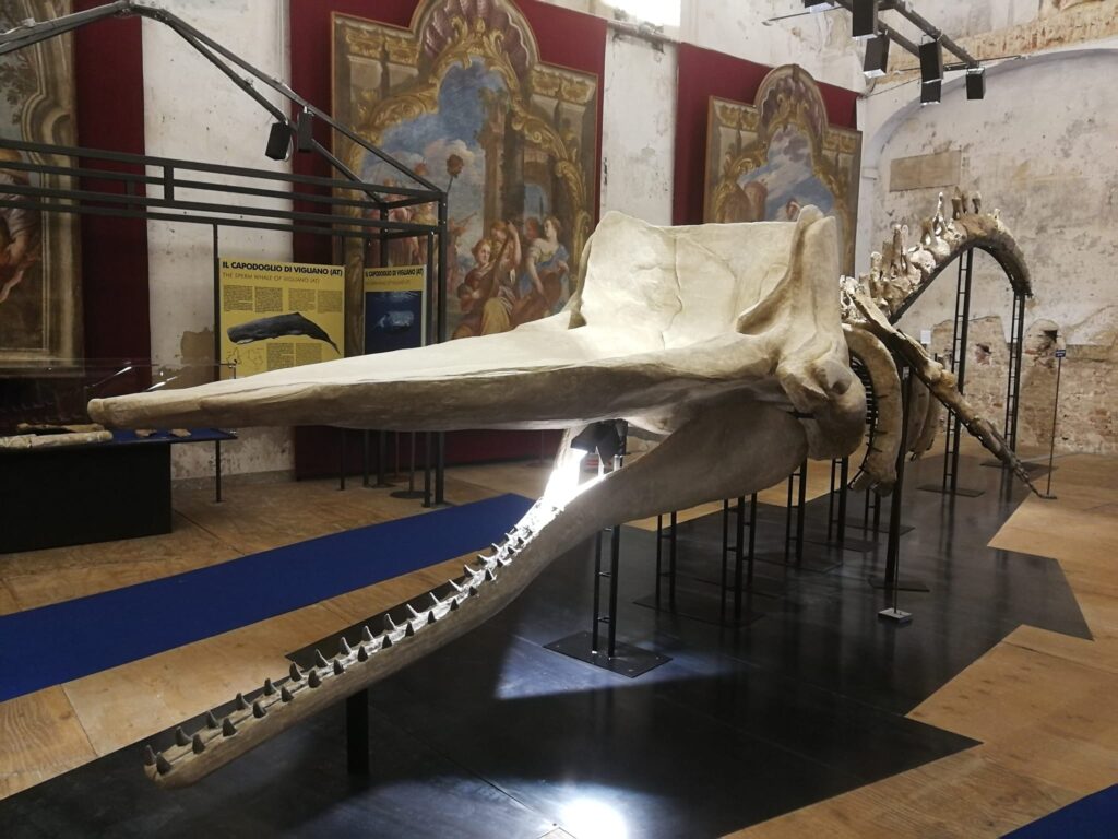 Mostra il Leviatano e le sirene - Asti