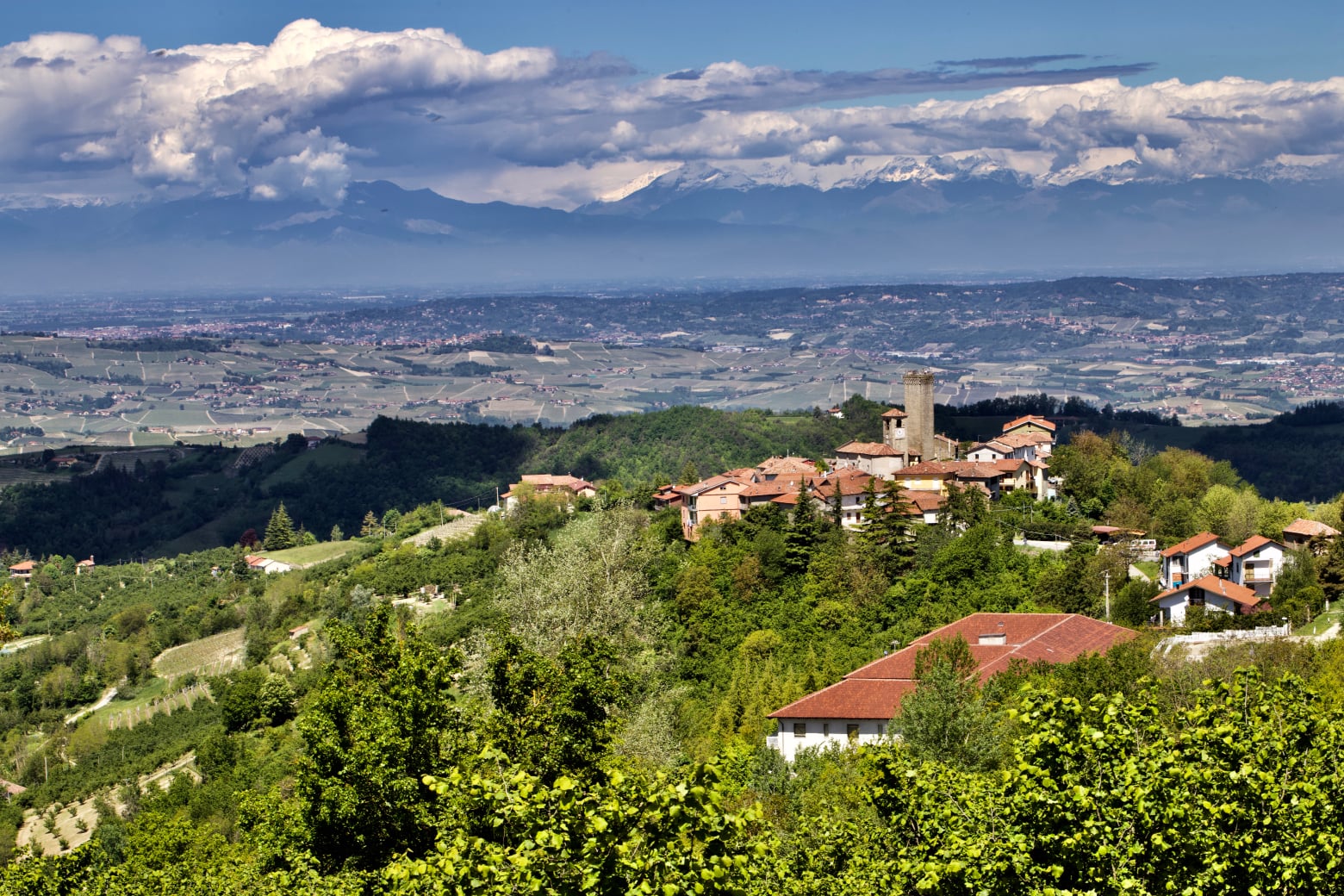 ALBARETTO DELLA TORRE murialdo