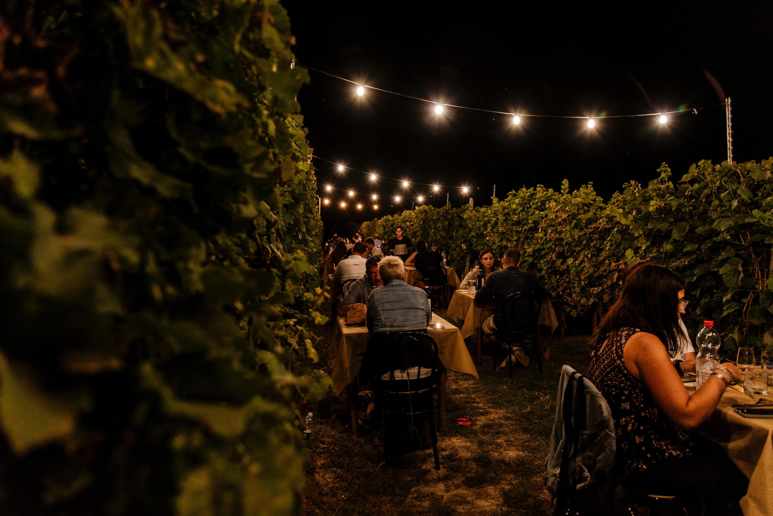 cena in vigna drocco luigi - eventi