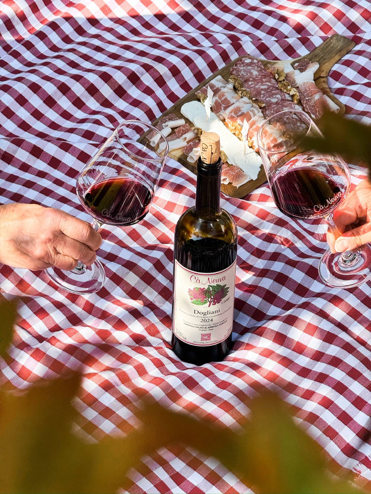Ca neuva pic nic